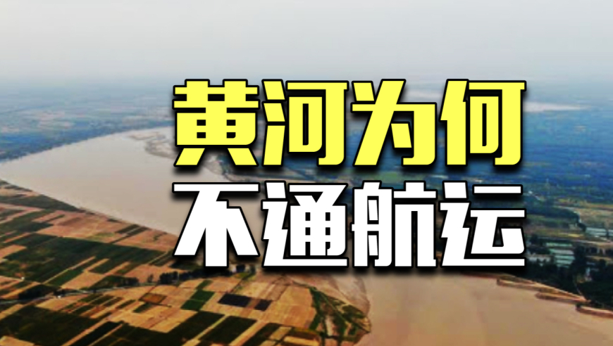 甲亢哥被重庆甜妹教育了,澳门同福同心论坛一肖一码,决策资料解释落实_工具版V3.60