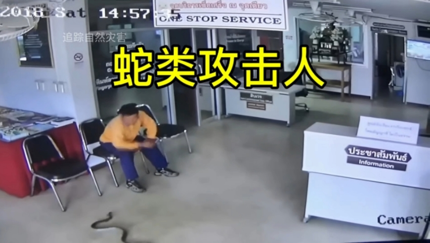 翻新卫生巾,香港资料大全免费正版资料香港,重点解答解释落实_轻量版V6.86